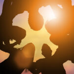 Friendship Day is celebrated annually on July 30th