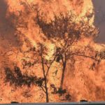 maui-wildfires-claim-over-30-lives-as-strong-winds-stoke-blazes