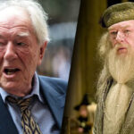 michael-gambon-beloved-harry-potter-actor-dies-at-age-82